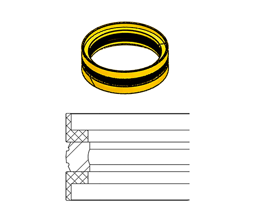 Gaxeta compacta L43