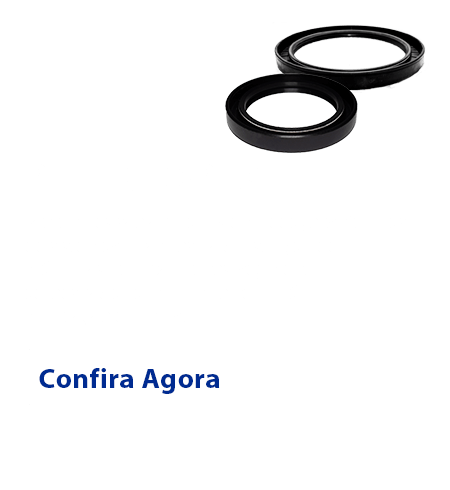 Pagina produtos Retentores